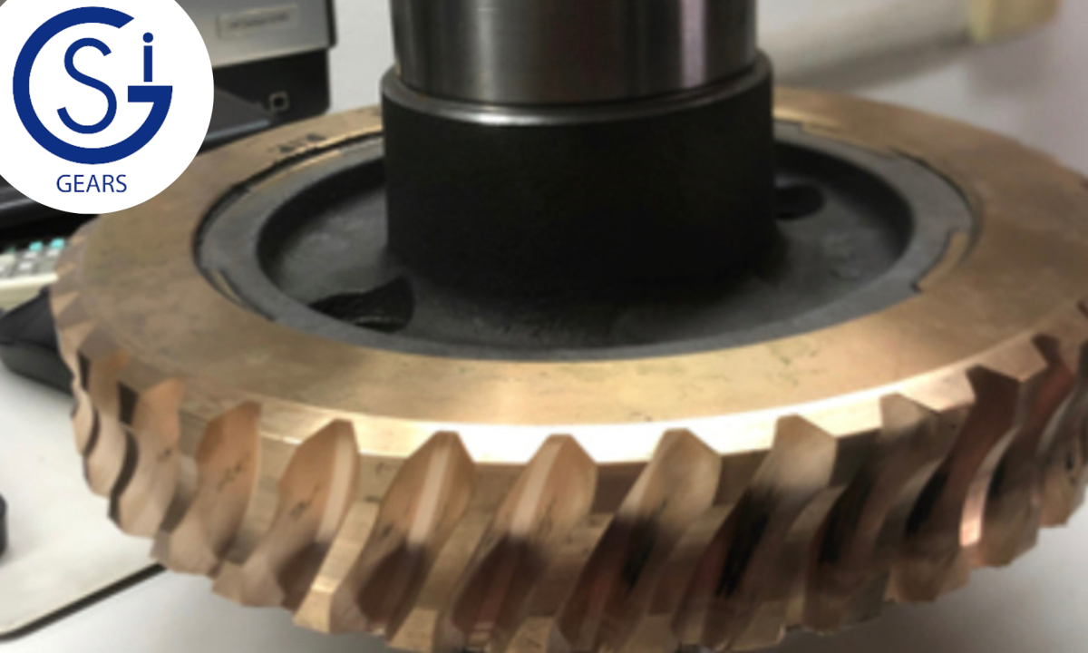 Worm gear crown: all its particularities and how to control it