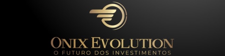 Onix Evolution - São Paulo, São Paulo, Brasil, Perfil profissional