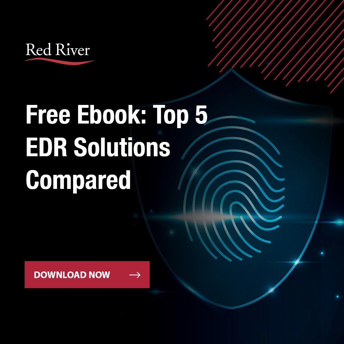 Red River on LinkedIn: Red River Cybersecurity Compliance: Endpoint Red River on LinkedIn: Red River Cybersecurity Compliance: Endpoint
