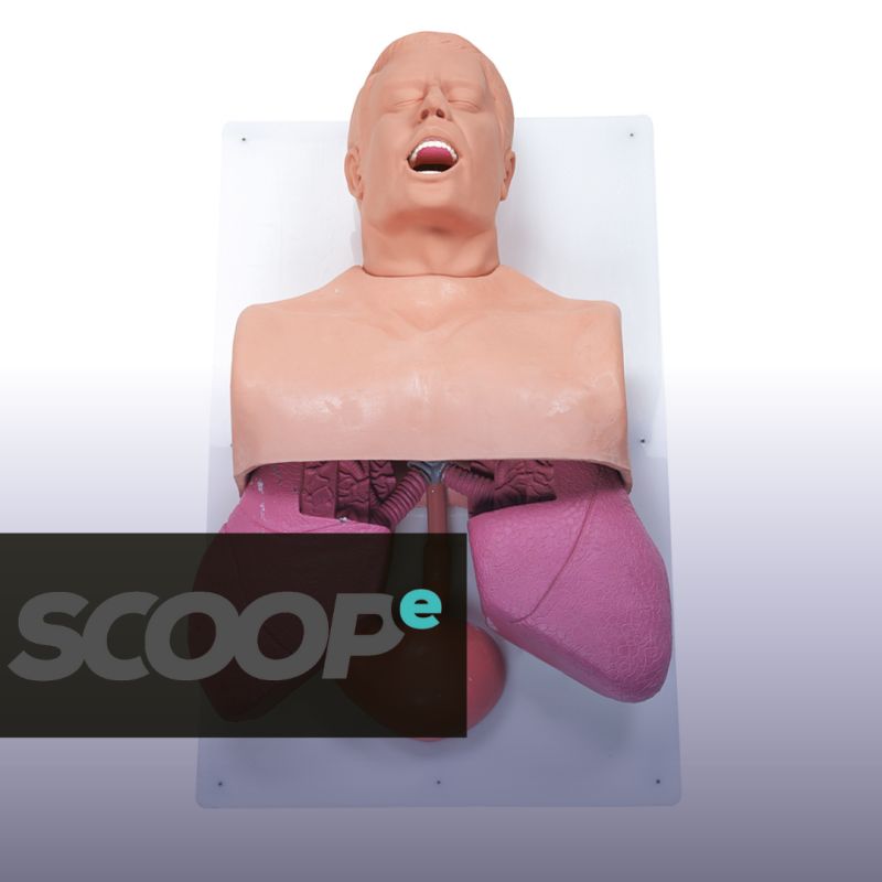 Learn airway training from superficial to ultra-realistic with