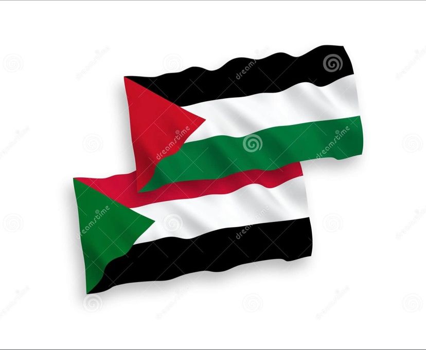 Ahmed E. E. Ahmed on LinkedIn: #sudan #palestine