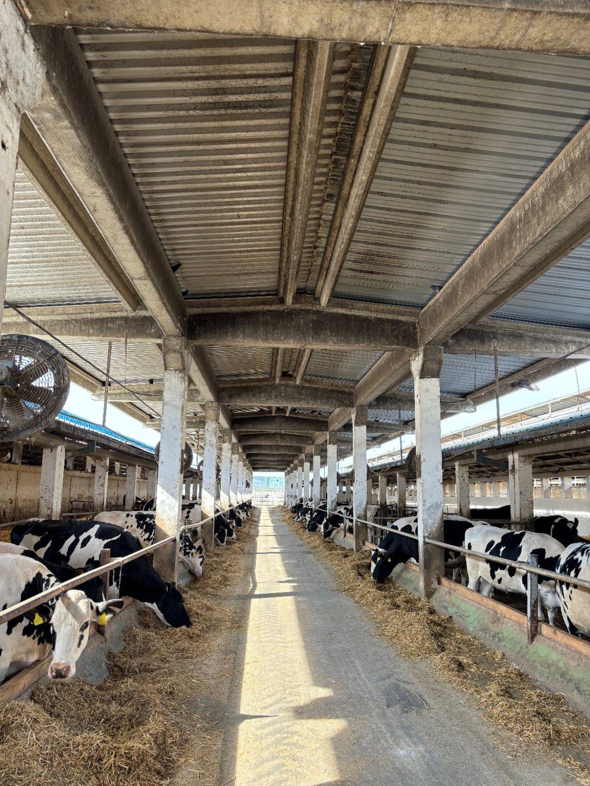 Klareco on LinkedIn: Our employees visiting dairy farm and Adchem ...