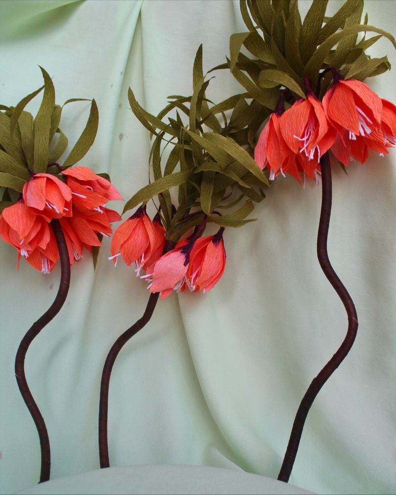 Helia Paper Flowers on LinkedIn: Paper Flowers 💫 l have been adding  beautifully peculiar paper flowers to…