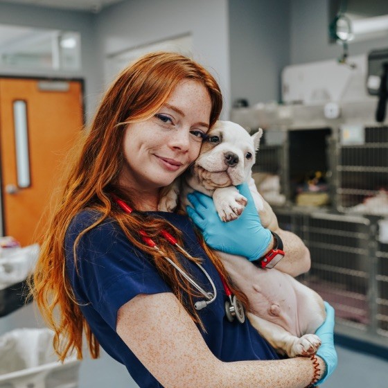 Kinzy Potts - LVMT - Nashville Veterinary Specialists + Animal Emergency |  LinkedIn