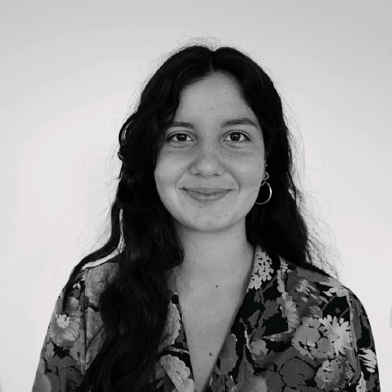 Giuliana Gentile - Junior Researcher - UvA | LinkedIn