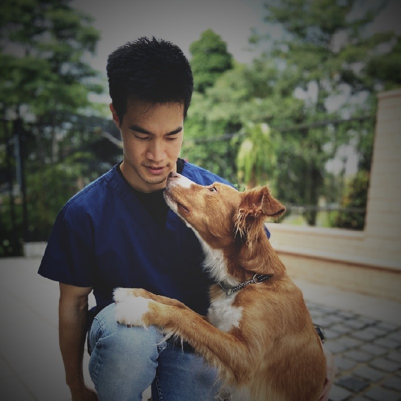 Daniel Chia - Veterinarian - Animal World Veterinary Clinic | LinkedIn