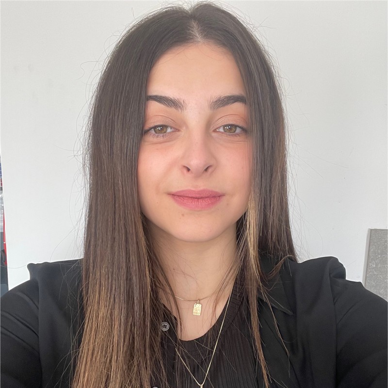 Nour Janbieh - Graduate Student - University of Essex | LinkedIn
