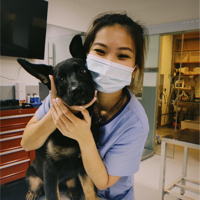 Elizabeth Pang - Emergency Veterinary Technician - VES Hospital - Singapore  | LinkedIn