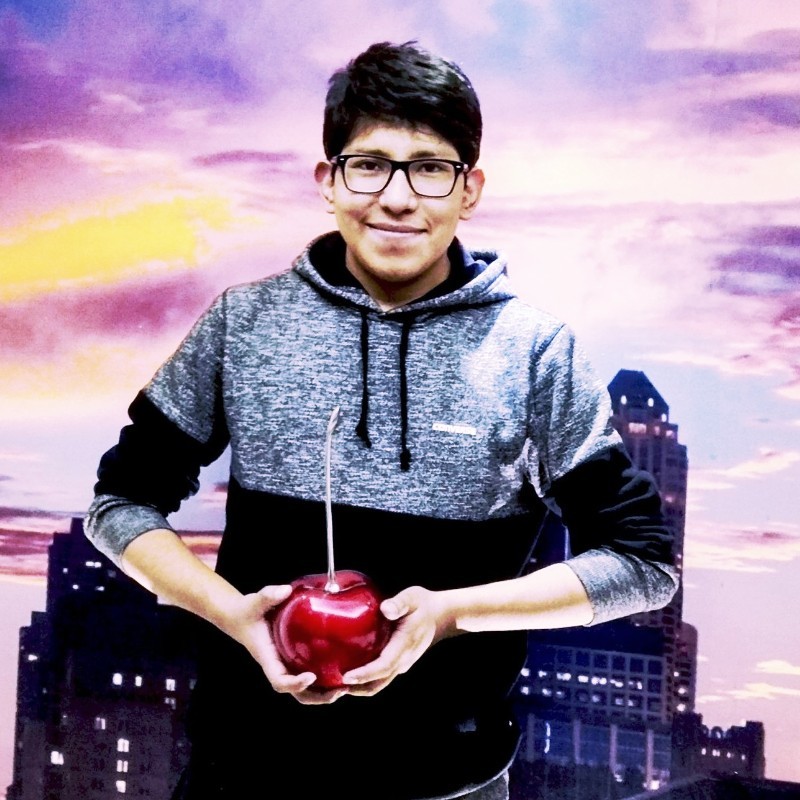 Joshua Carlos Perú Perfil profesional LinkedIn Joshua Carlos Perú Perfil profesional LinkedIn