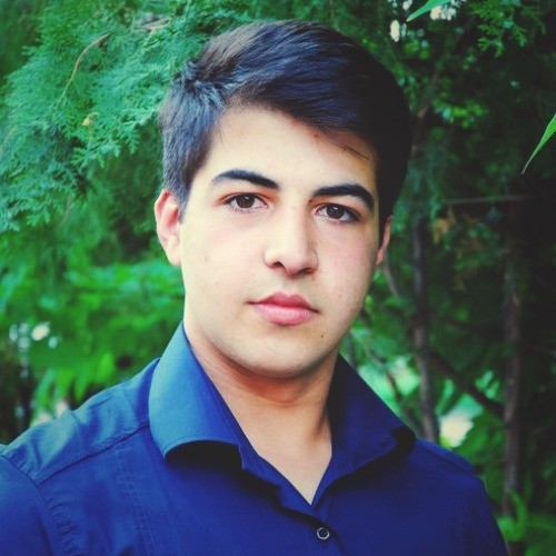 Harutyun Abrahamyan - Yerevan, Armenia | Professional Profile | LinkedIn