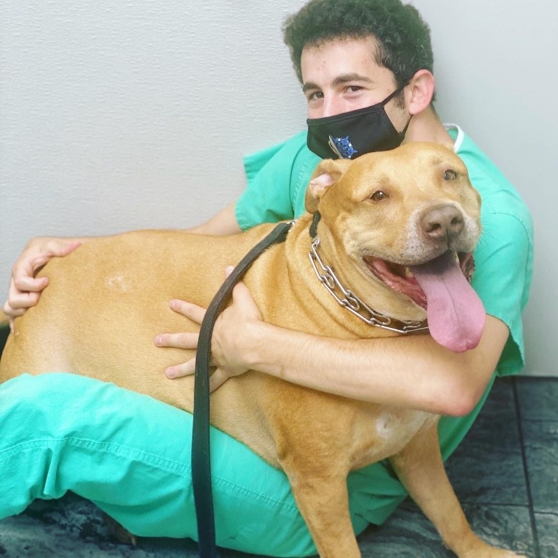 Kevin Steiner - Veterinary Technician - Low Cost Animal Medical Center |  LinkedIn