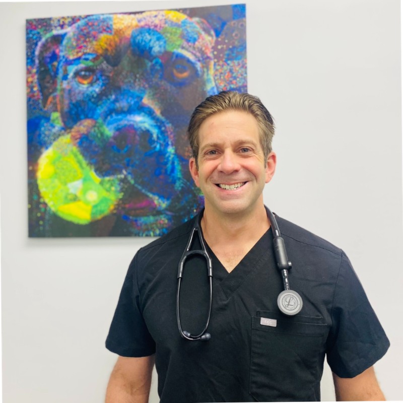 Tony Ioppolo - Owner - Pinehurst Animal Hospital and Dental Clinic |  LinkedIn