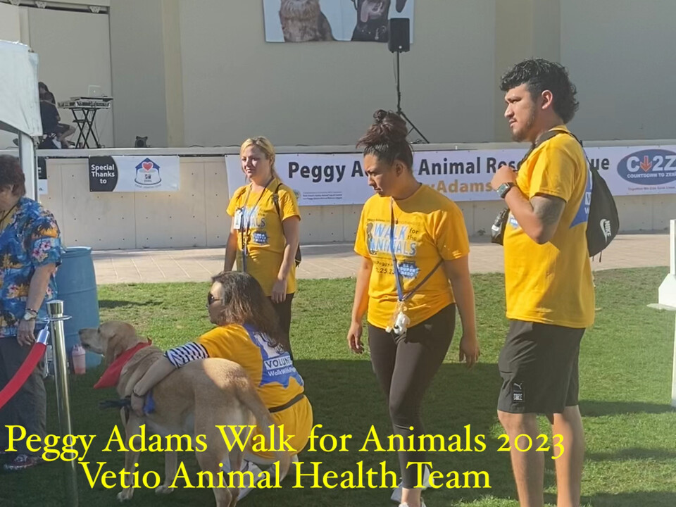 Vetio Animal Health | LinkedIn
