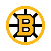 Boston Bruins - These are the individuals who made the