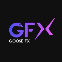 GooseFX | LinkedIn