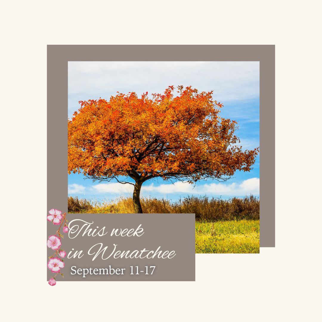 Wenatchee Convention Center on LinkedIn: Take a look at our events Wenatchee Convention Center on LinkedIn: Take a look at our events