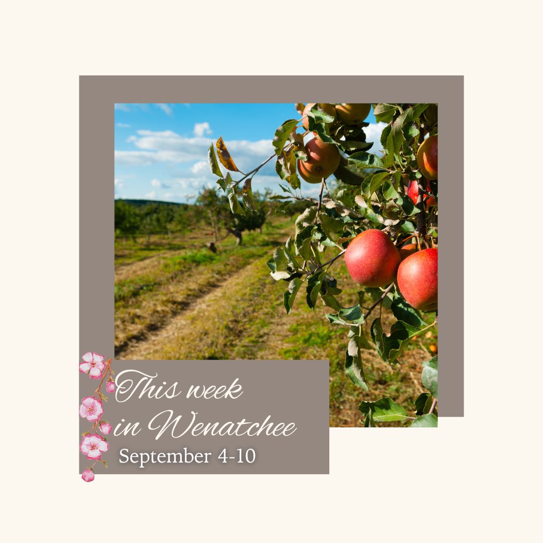 Wenatchee Convention Center on LinkedIn: Check out this week #39 s events Wenatchee Convention Center on LinkedIn: Check out this week #39 s events