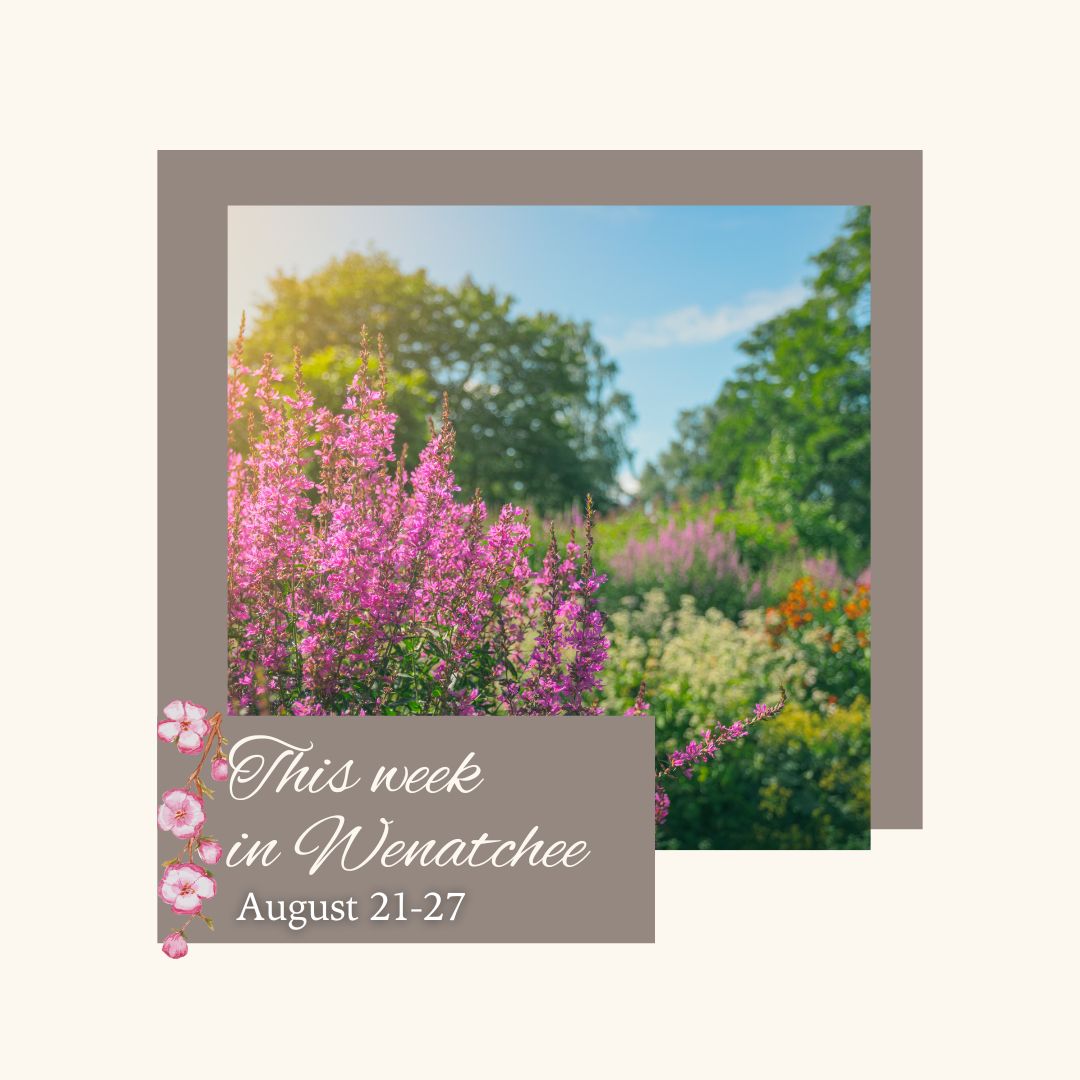 Wenatchee Convention Center on LinkedIn: Check out this week #39 s events Wenatchee Convention Center on LinkedIn: Check out this week #39 s events