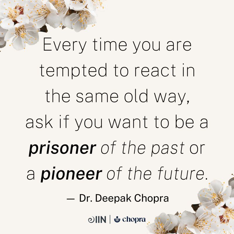 Institute for Integrative Nutrition on LinkedIn: Pioneer your future Institute for Integrative Nutrition on LinkedIn: Pioneer your future