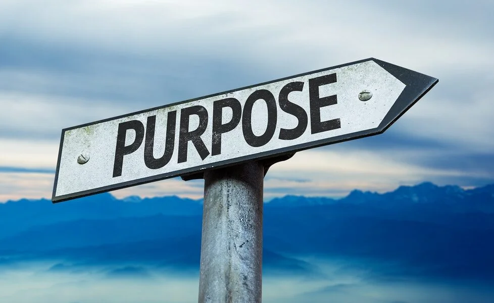 What is Your Purpose? What is Your Purpose?