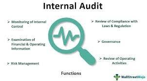 internal check in auditing
