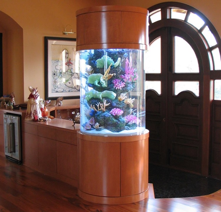 Custom C Reef Saler Aquarium