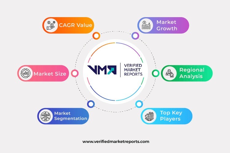 Meat And Bone Meal (MBM) Market Size, Opportunities: Anticipating Growth Prospects from 2024-2031
