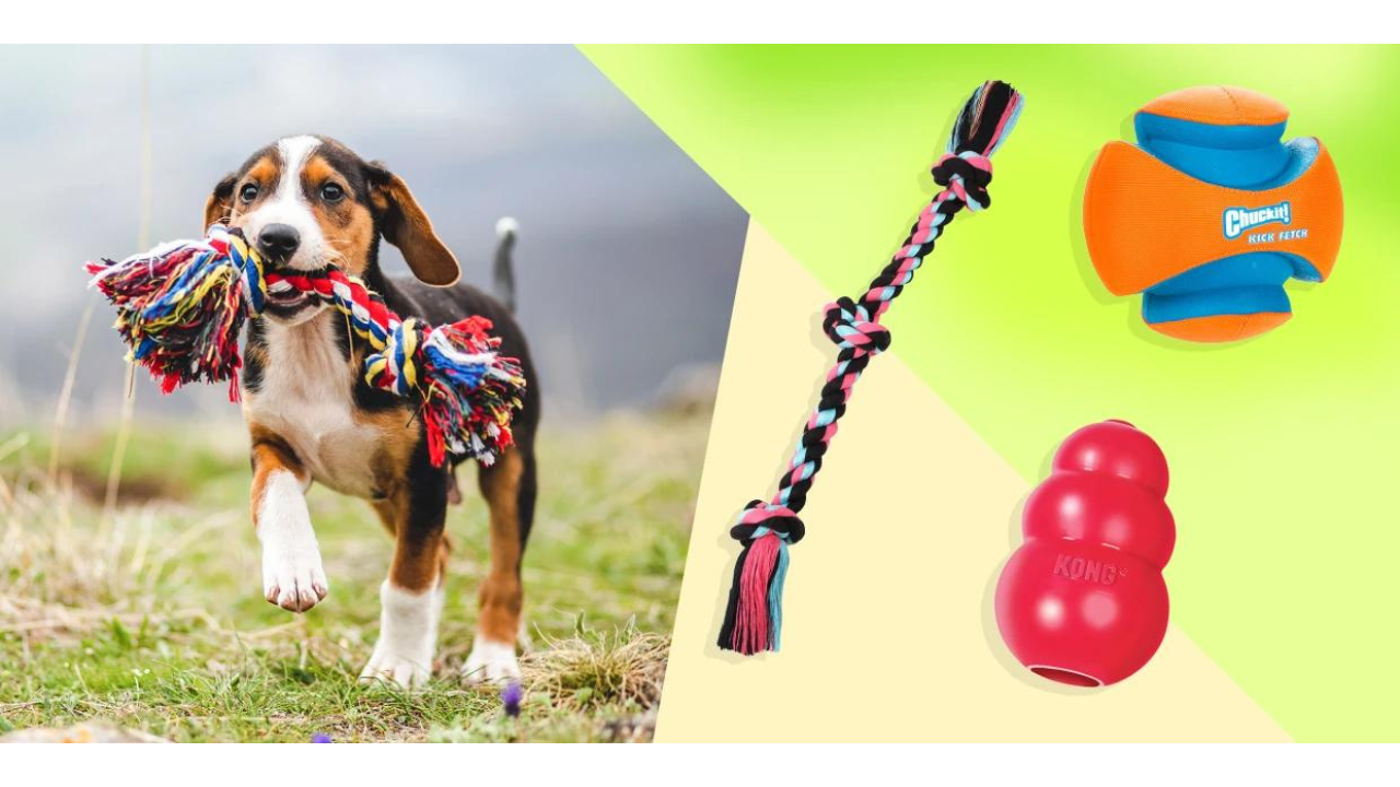 20 best dog toys to entertain every type of dog this year