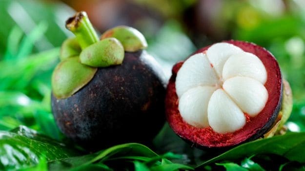 How to get a smaller waist?, Mangosteen, extracts