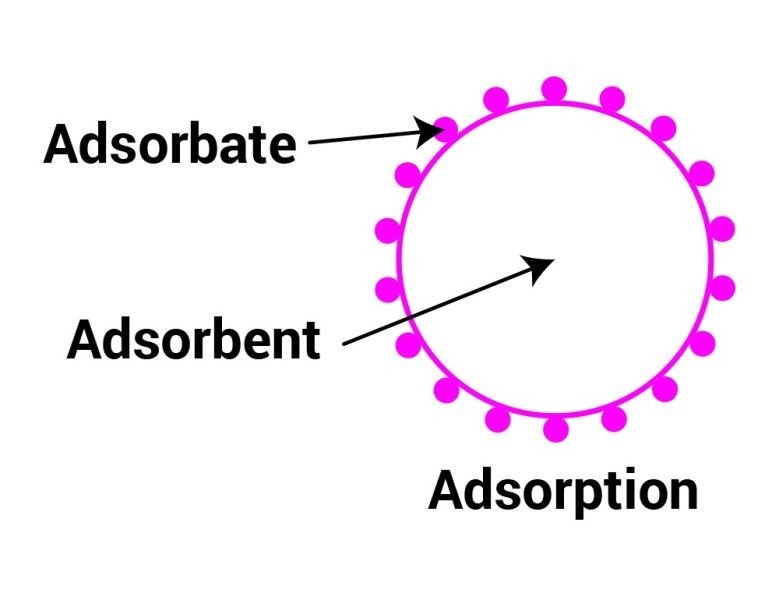 Introduction to Adsorption: Kinetics and Thermodynamics