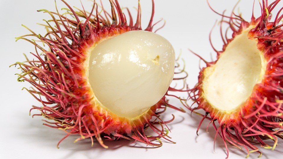 Rambutan: The Exotic Jewel of Tropical Fruits