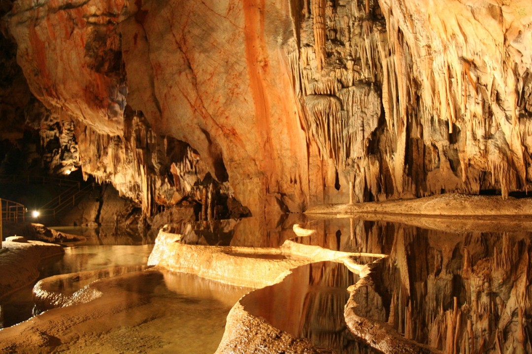The Mysterious Ecosystem of Caves