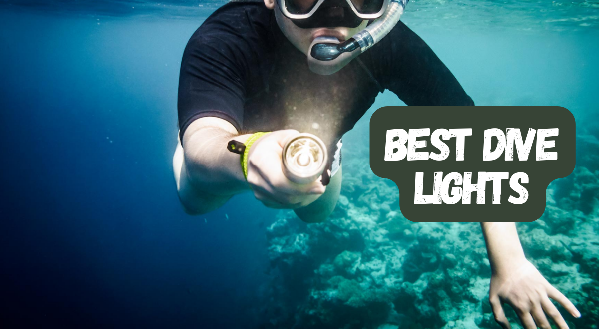 Best dive lights of 2024; our top 10!