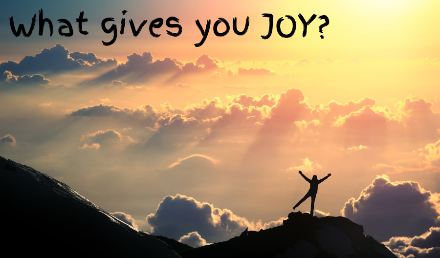 what gives you joy essay