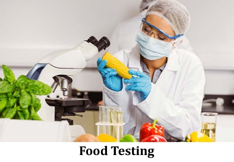 Enhancing Food Safety: A Closer Look at EKO Testing Labs in India