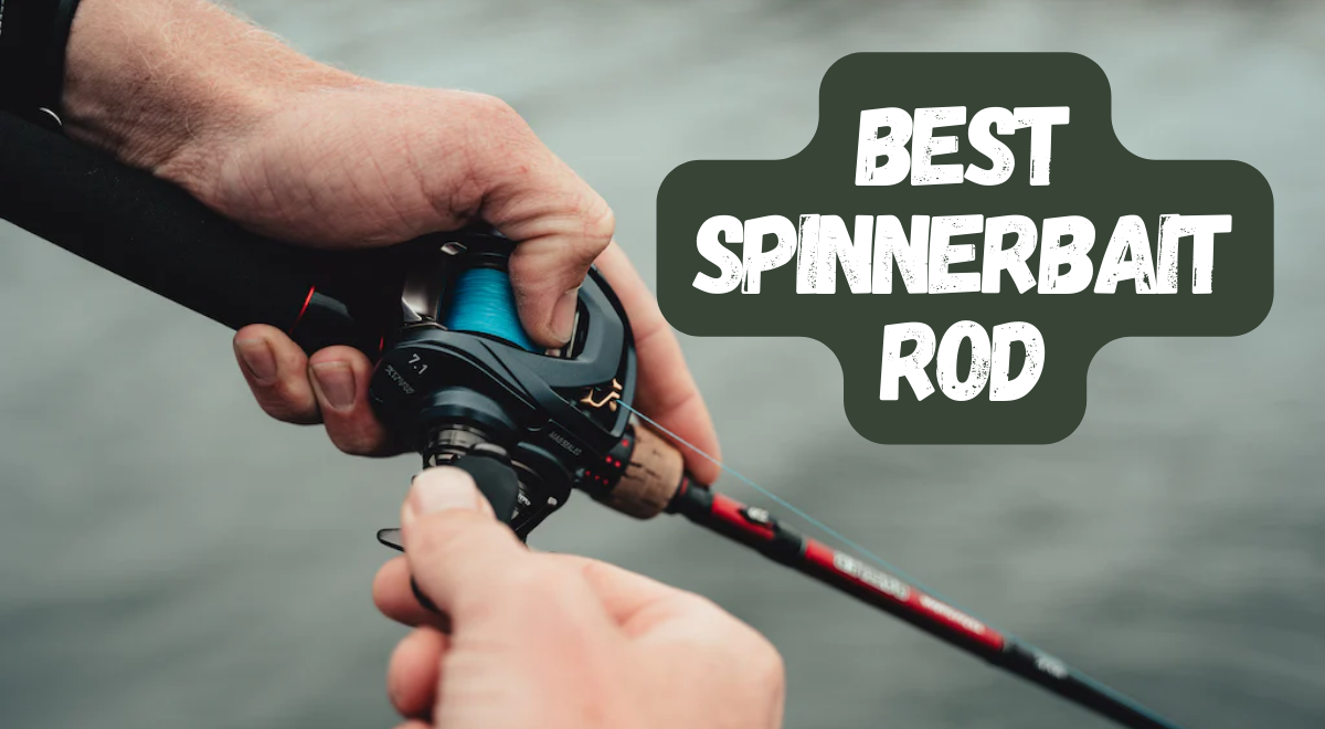 Best Spinnerbait Rods: 🎣 Expert Guide to Enhance Your Fishing Experience