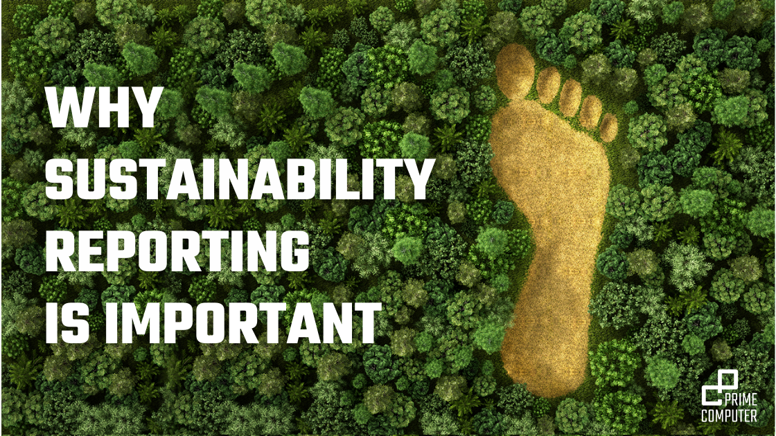 The Importance of Sustainability Reporting