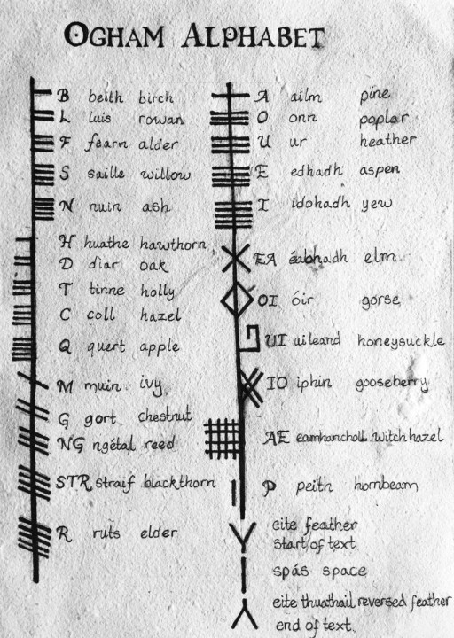 The Ogham script's mystical significance with associations involved. 