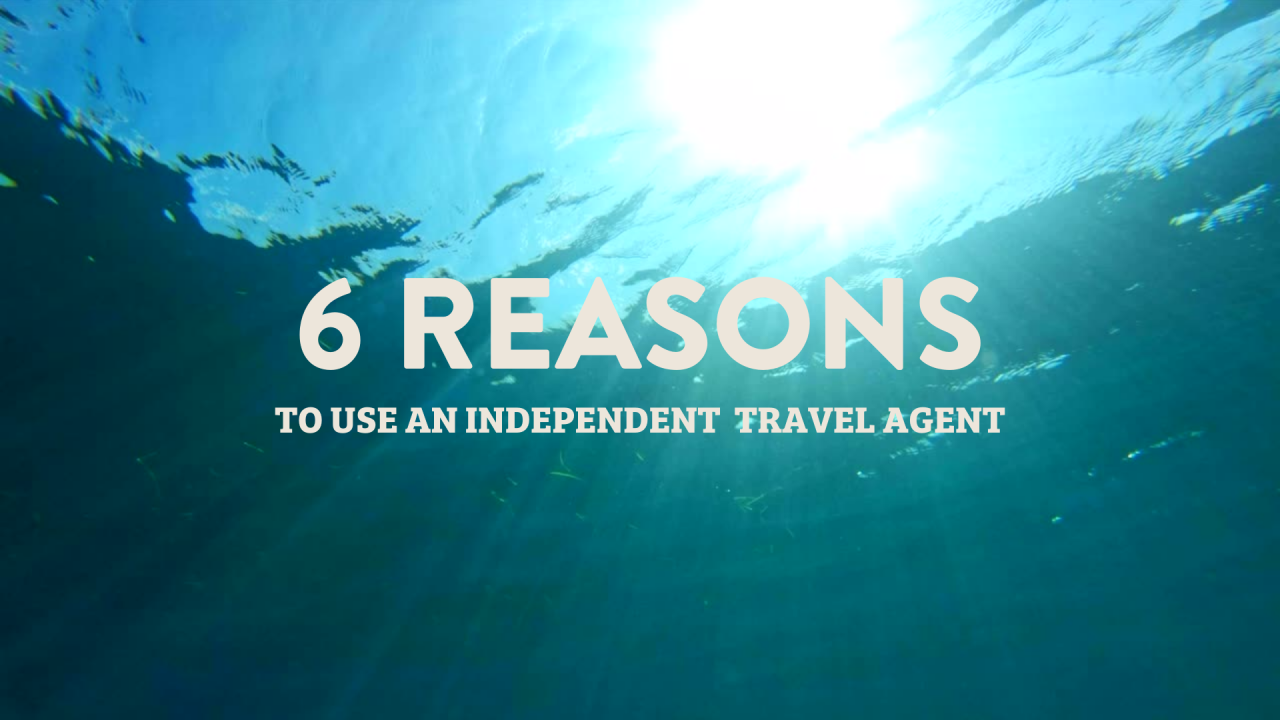 independent travel agent license