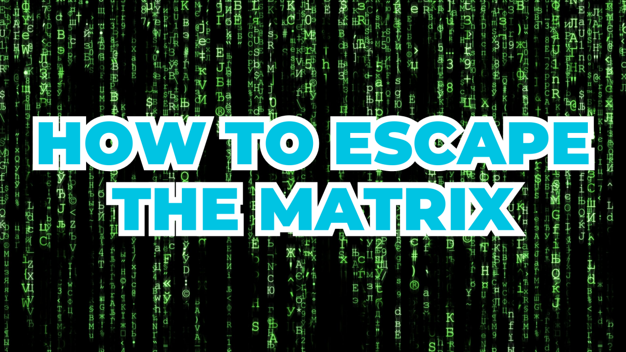 Escaping the Matrix: Liberating Oneself from the Shackles of Employment