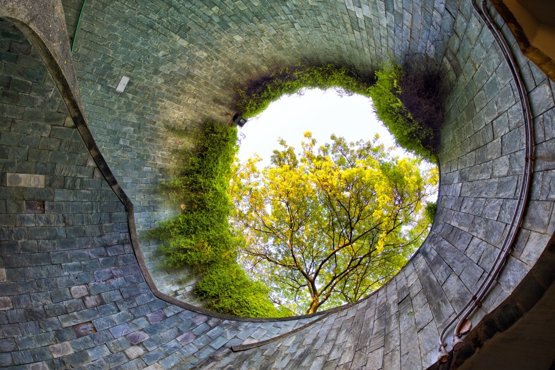 Looking up through a stone stairwell, at some greenery and luminous trees lit up by the sun