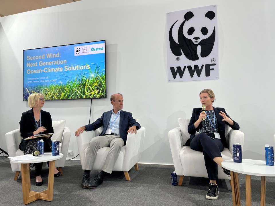 COP27 reflections: Implementation the ocean preaching to the choir COP27 reflections: Implementation the ocean preaching to the choir