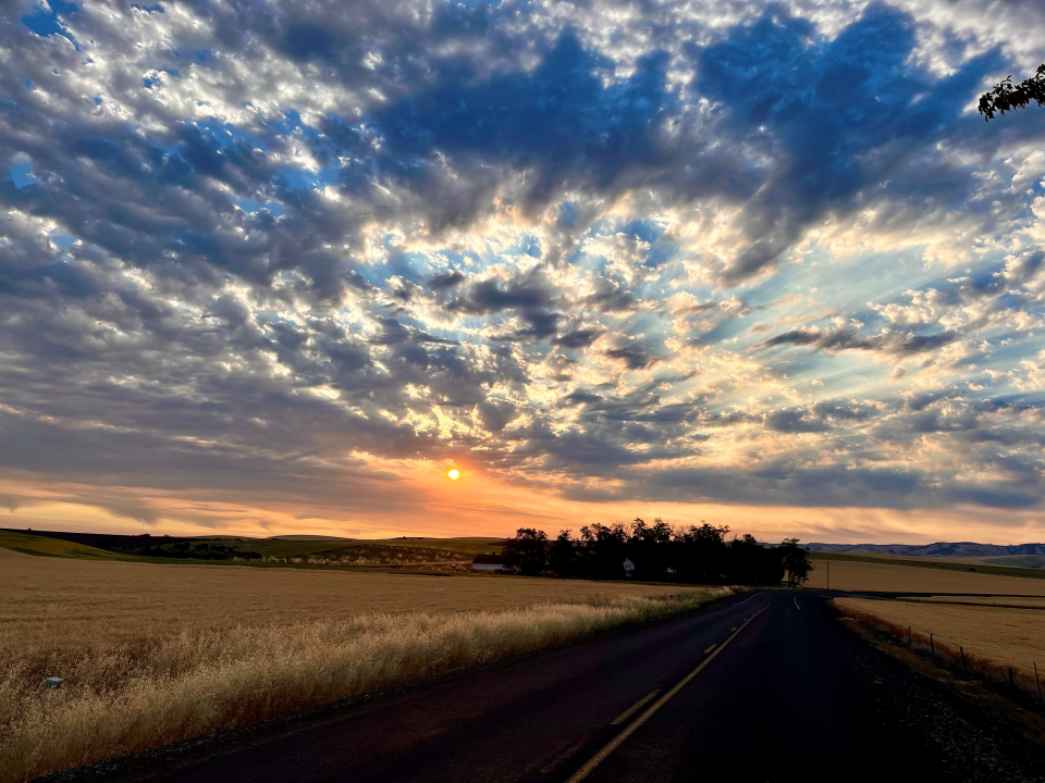 Discover Your Career Path in USACE #39 s Walla Walla District Discover Your Career Path in USACE #39 s Walla Walla District