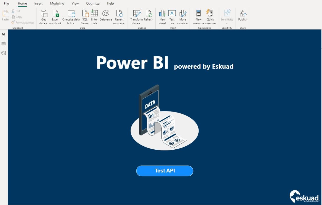 Field forms on PowerBI with Eskuad