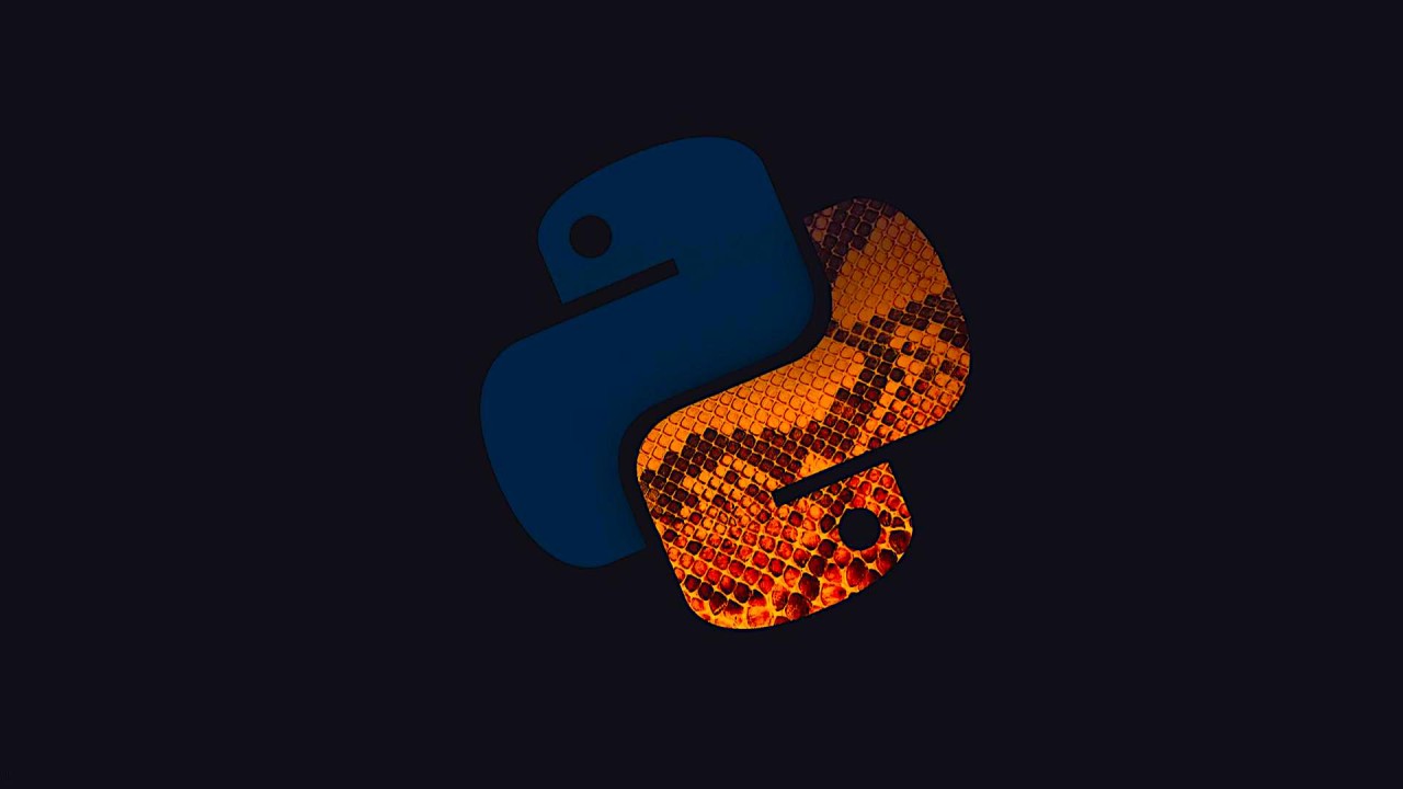 How does Python work?