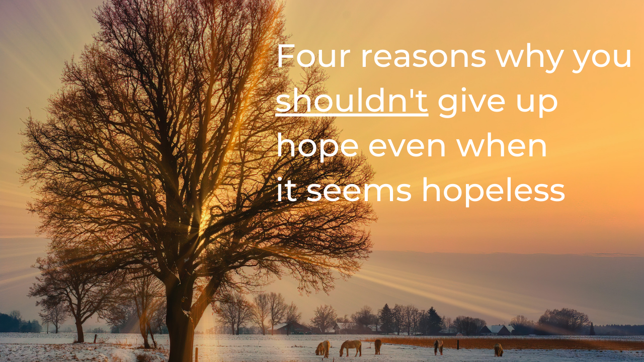 Four reasons why you shouldn't give up hope even when it seems hopeless