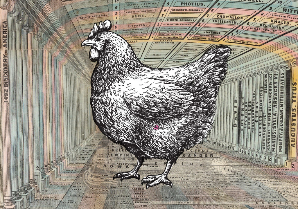 Effective Altruism: Saving Chickens, Saving Humanity