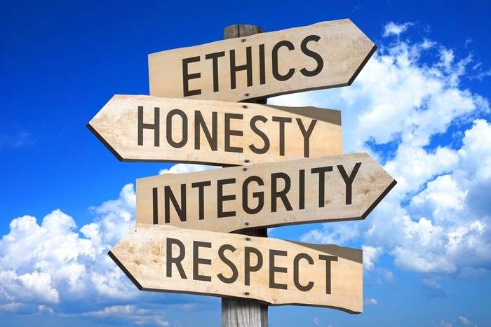 Cultivating Integrity, Honesty and Support: The Pathway to Professional Excellence 