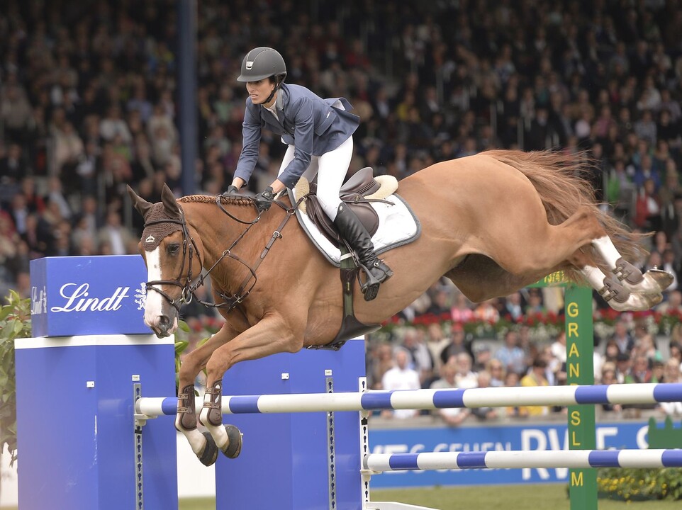 Show Jumping Horses: A Dive into Their Value, Characteristics, Buying Process, Earnings & More.