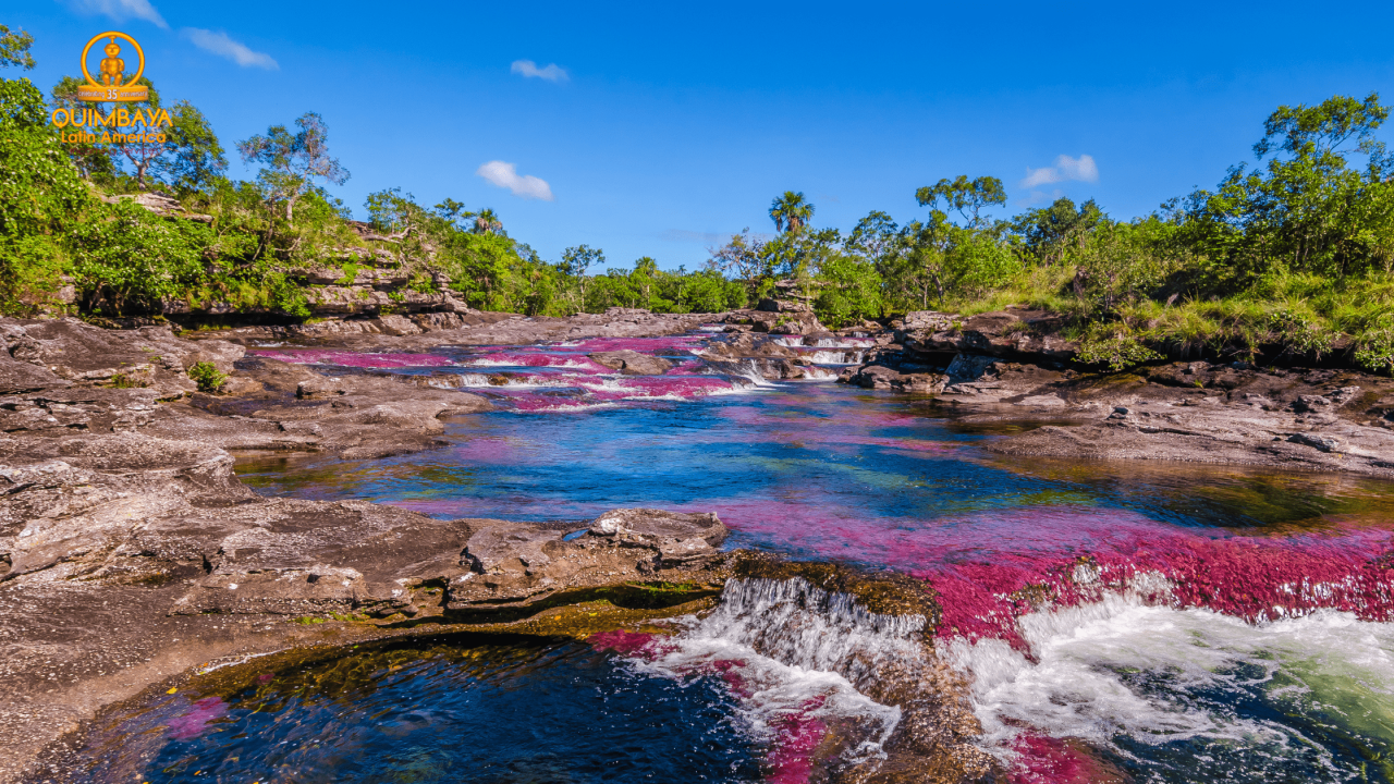 Discover Colombia - Caño Cristales